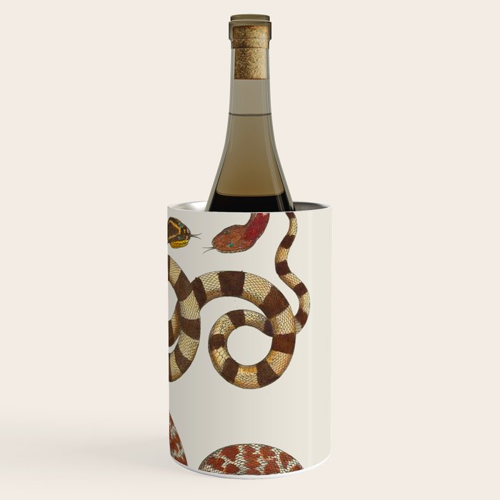 Albertus Seba A detailed description of the richest treasure of natural things Wine Chiller Gallery Image 3