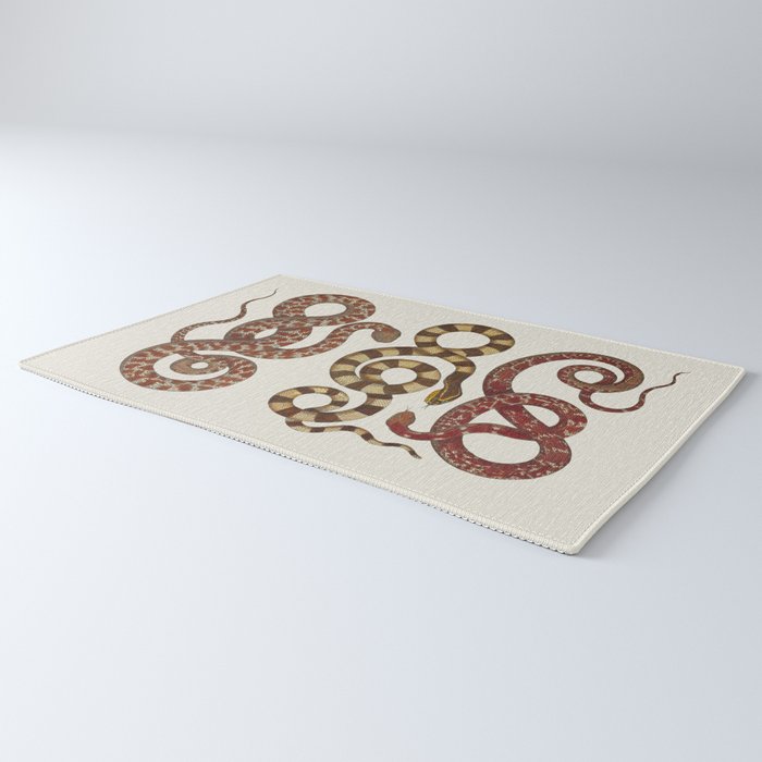 Albertus Seba A detailed description of the richest treasure of natural things Rug Gallery Image 3