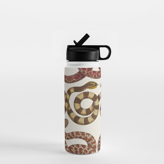 Albertus Seba A detailed description of the richest treasure of natural things Water Bottle Gallery Image 1