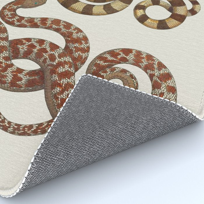 Albertus Seba A detailed description of the richest treasure of natural things Rug Gallery Image 4