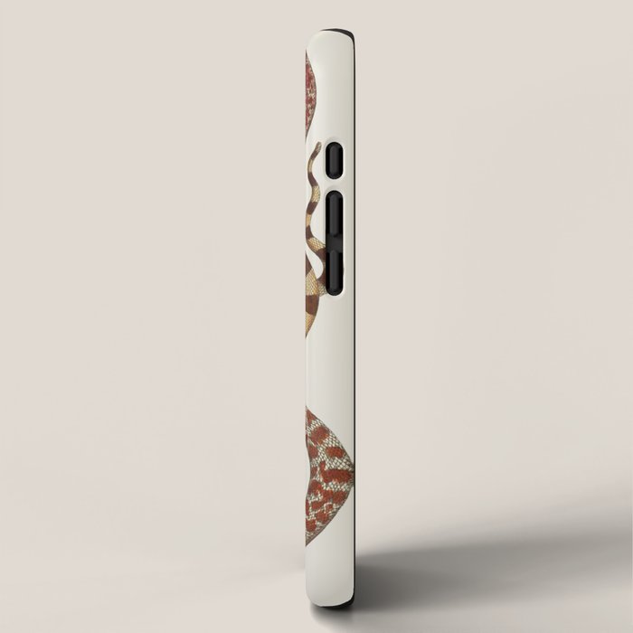 Albertus Seba A detailed description of the richest treasure of natural things iPhone Case Gallery Image 2