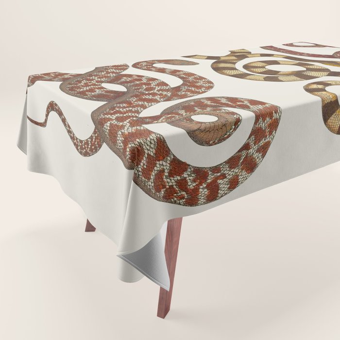 Albertus Seba A detailed description of the richest treasure of natural things Tablecloth Gallery Image 1