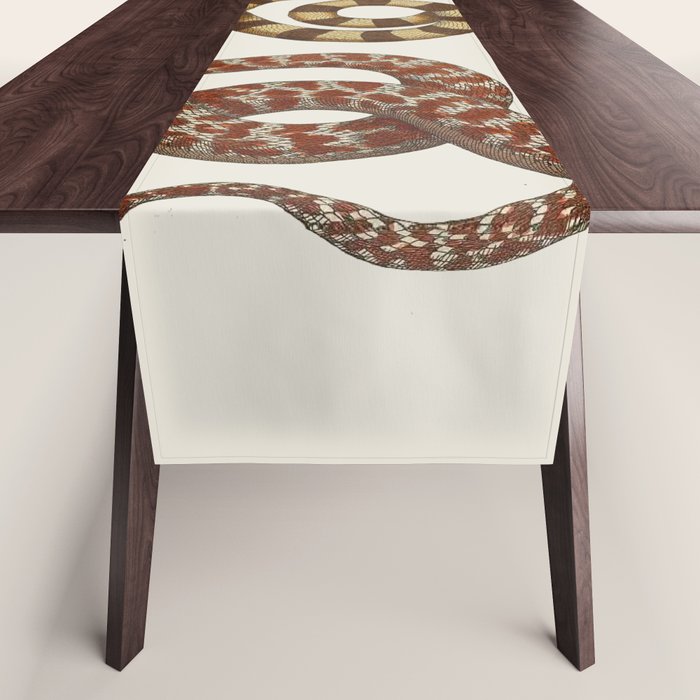 Albertus Seba A detailed description of the richest treasure of natural things Table Runner Gallery Image 1