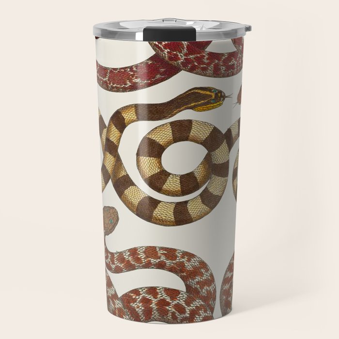 Albertus Seba A detailed description of the richest treasure of natural things Travel Mug Gallery Image 1