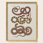 Albertus Seba A detailed description of the richest treasure of natural things Serving Tray Gallery Image 1