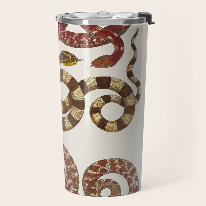 Albertus Seba A detailed description of the richest treasure of natural things Travel Mug Gallery Image 2