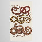 Albertus Seba A detailed description of the richest treasure of natural things Tablecloth Gallery Image 2
