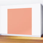 Peach Solid Color Wall Mural Gallery Image 2