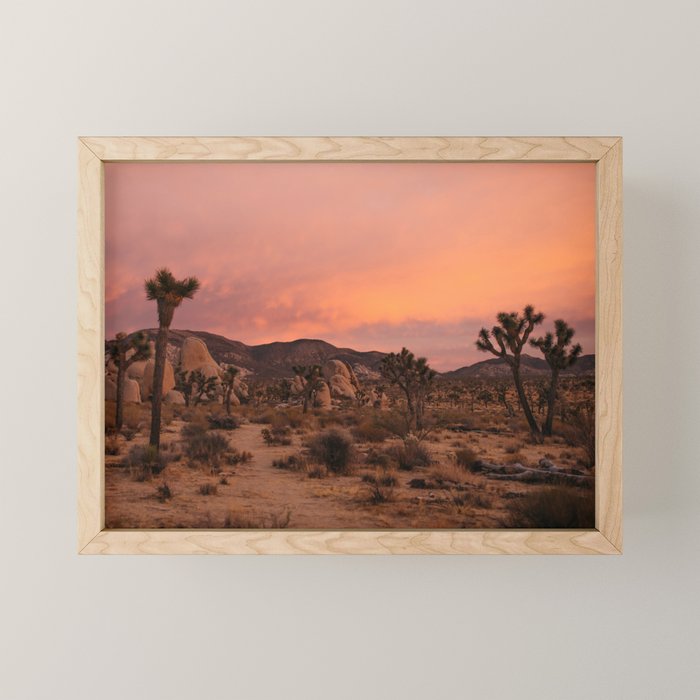 Joshua Tree Sunset Mini Art Print Gallery Image 1