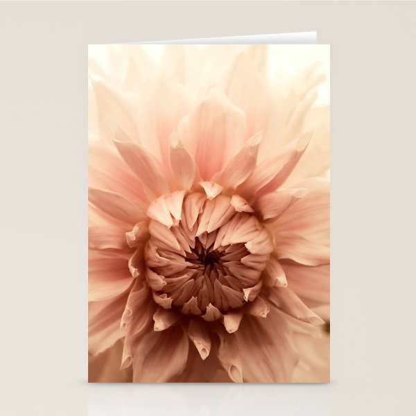 Goddess - Dahlia Botanical - Flower photograph - Modern Floral Stationery Card Gallery Image 2