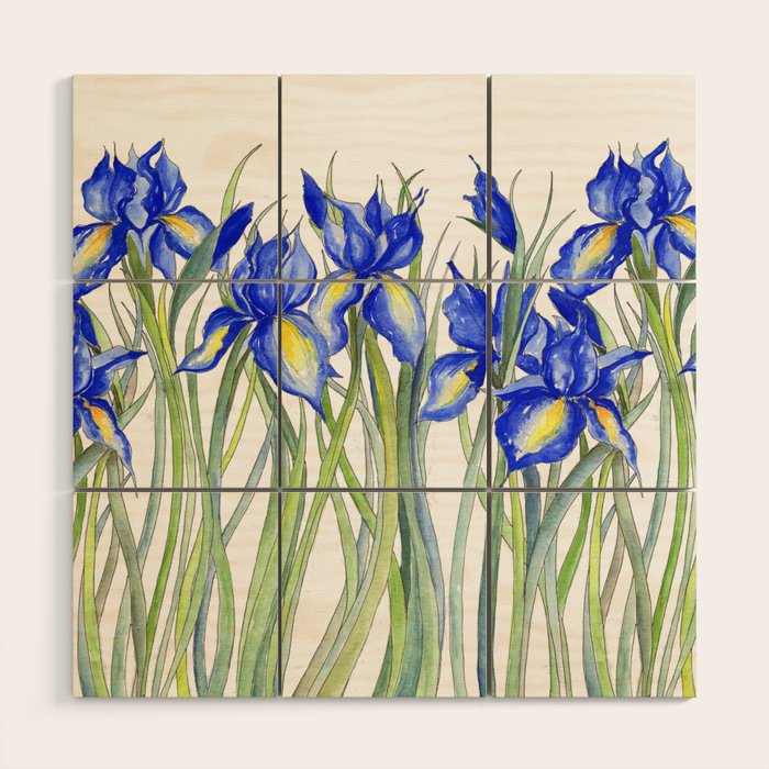 Blue Iris, Illustration Wood Wall Art Gallery Image 1