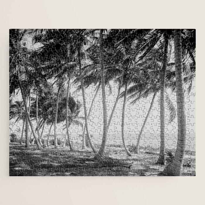 Miami Florida Palm Trees Black and White Vintage Photograph, 1915 Jigsaw Puzzle Gallery Image 1