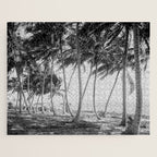Miami Florida Palm Trees Black and White Vintage Photograph, 1915 Jigsaw Puzzle Gallery Image 1