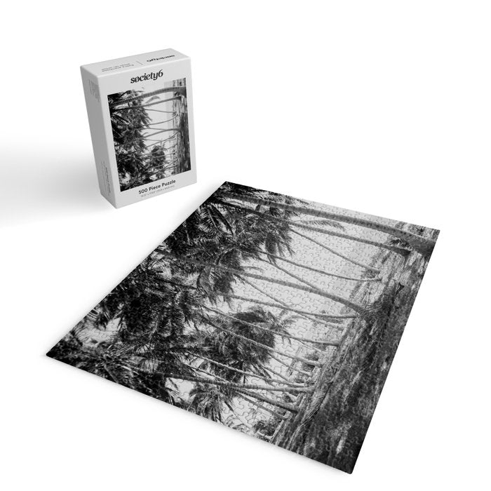 Miami Florida Palm Trees Black and White Vintage Photograph, 1915 Jigsaw Puzzle Gallery Image 2