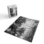 Miami Florida Palm Trees Black and White Vintage Photograph, 1915 Jigsaw Puzzle Gallery Image 2