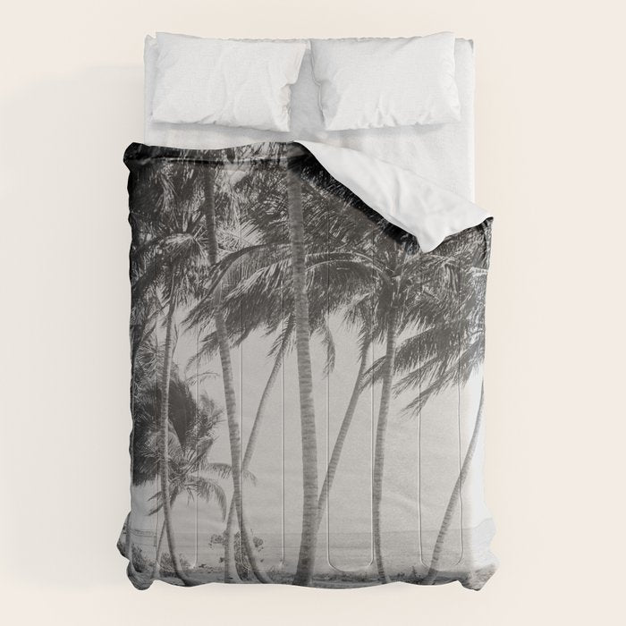 Miami Florida Palm Trees Black and White Vintage Photograph, 1915 Comforter Gallery Image 6