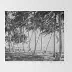 Miami Florida Palm Trees Black and White Vintage Photograph, 1915 Throw Blanket Gallery Image 2