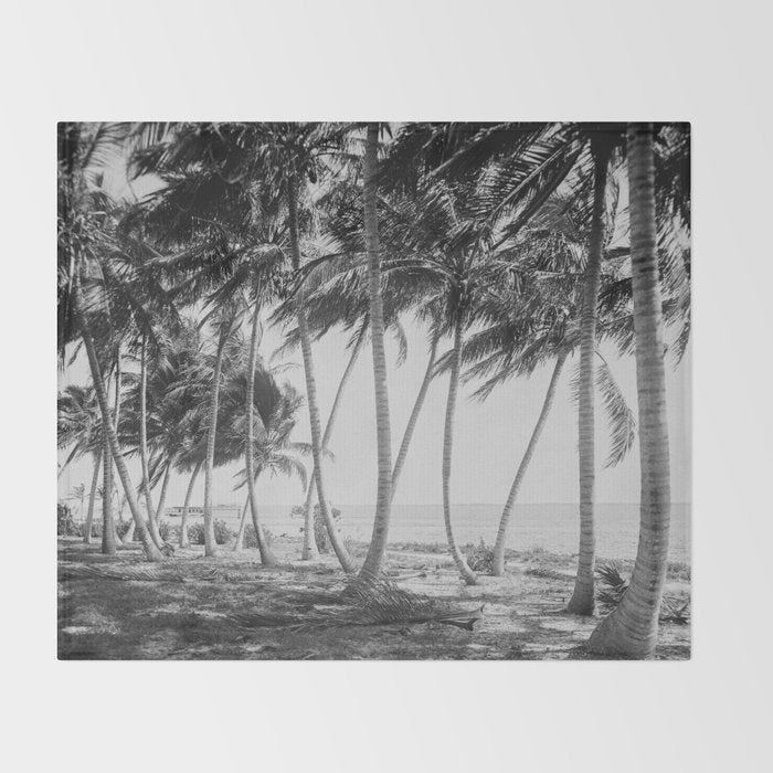Miami Florida Palm Trees Black and White Vintage Photograph, 1915 Throw Blanket Gallery Image 2