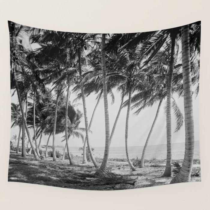 Miami Florida Palm Trees Black and White Vintage Photograph, 1915 Wall Tapestry Gallery Image 4