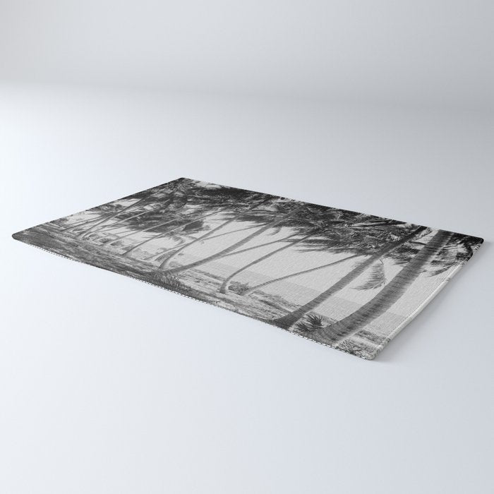 Miami Florida Palm Trees Black and White Vintage Photograph, 1915 Rug Gallery Image 3