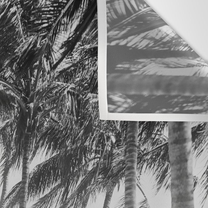 Miami Florida Palm Trees Black and White Vintage Photograph, 1915 Wall Tapestry Gallery Image 3