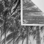 Miami Florida Palm Trees Black and White Vintage Photograph, 1915 Wall Tapestry Gallery Image 3