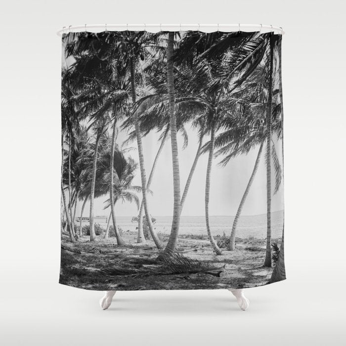 Miami Florida Palm Trees Black and White Vintage Photograph, 1915 Shower Curtain Gallery Image 1