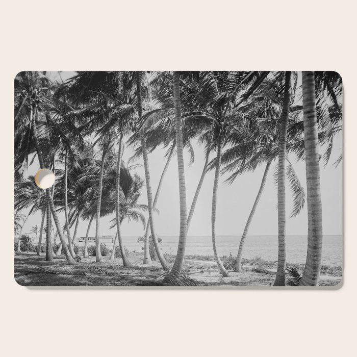 Miami Florida Palm Trees Black and White Vintage Photograph, 1915 Cutting Board Gallery Image 1