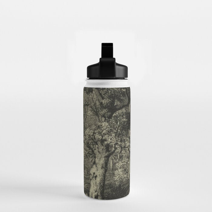 Old Oaks Water Bottle Gallery Image 2