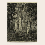 Old Oaks Poster Gallery Image 4