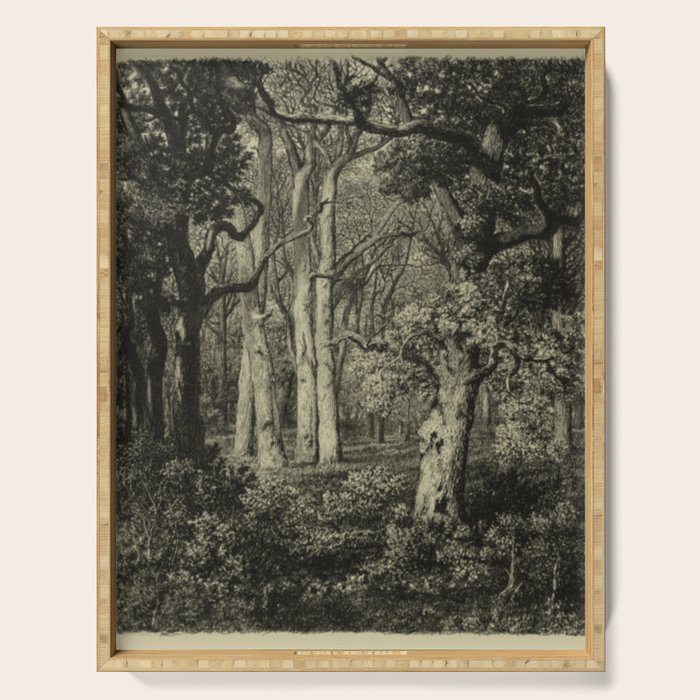 Old Oaks Serving Tray Gallery Image 1