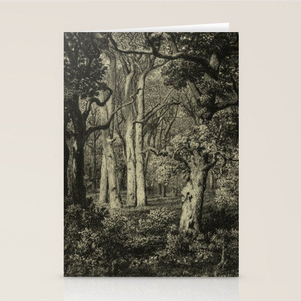 Old Oaks Stationery Card Gallery Image 1
