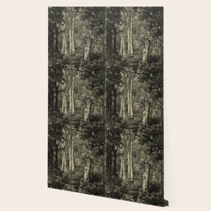 Old Oaks Wallpaper Gallery Image 2