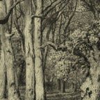 Old Oaks Coffee Mug Gallery Image 2