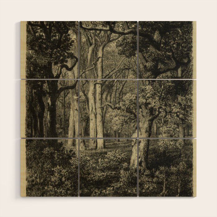 Old Oaks Wood Wall Art Gallery Image 1
