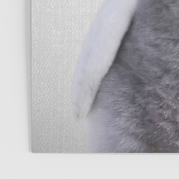 Baby Penguin - Colorful Poster Gallery Image 3