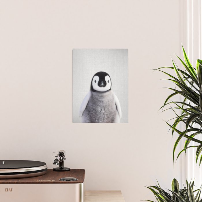 Baby Penguin - Colorful Poster Gallery Image 2