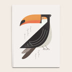 Toucan, Bird of South America Notebook Gallery Image 4