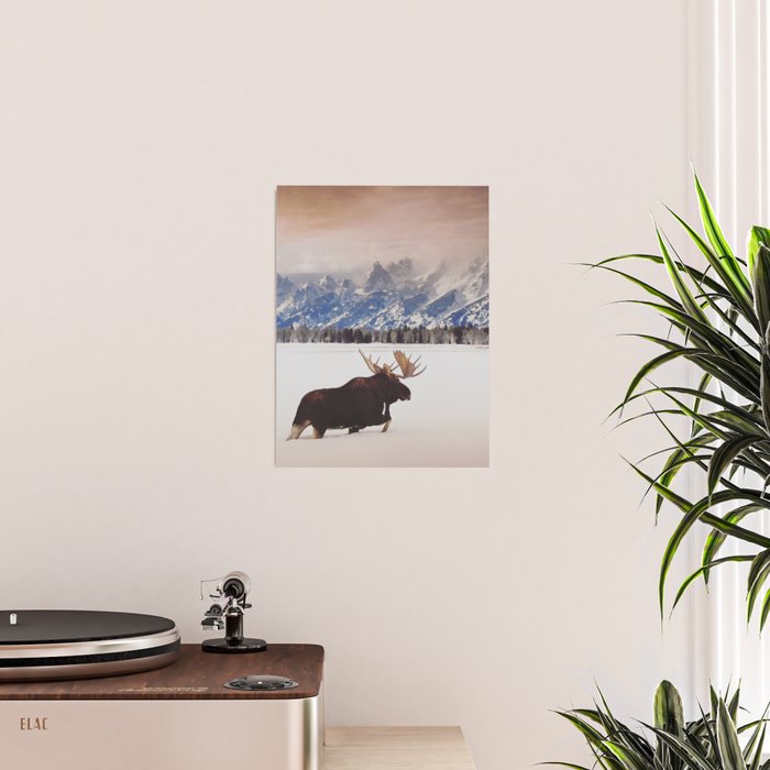 Grand Tetons Wanderer Poster Gallery Image 2