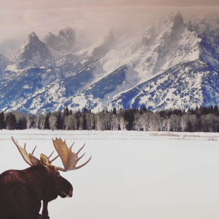 Grand Tetons Wanderer Coffee Mug Gallery Image 2