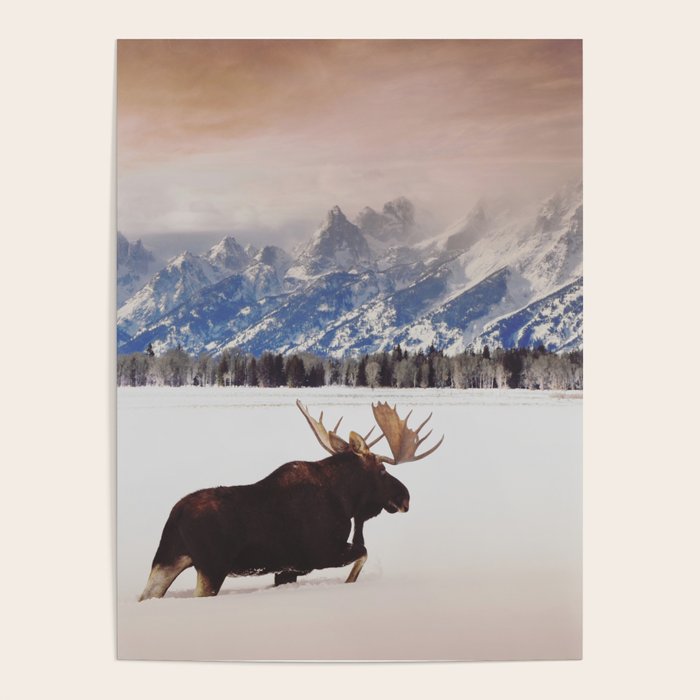 Grand Tetons Wanderer Poster Gallery Image 4