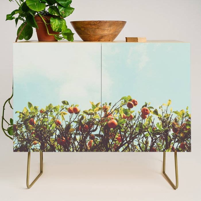 Florida Orange Grove Credenza Gallery Image 1