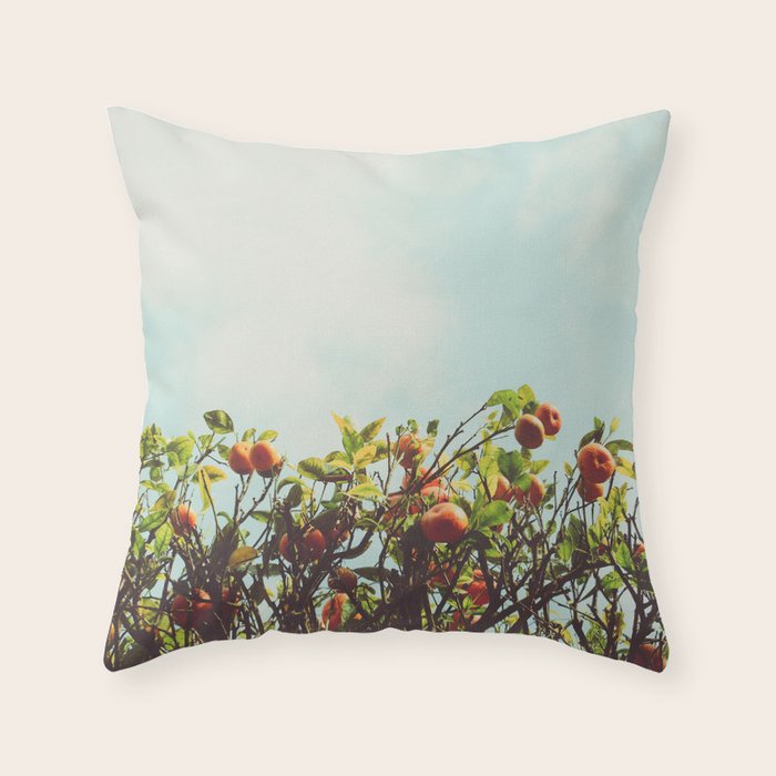 Florida Orange Grove Throw Pillow Gallery Image 6