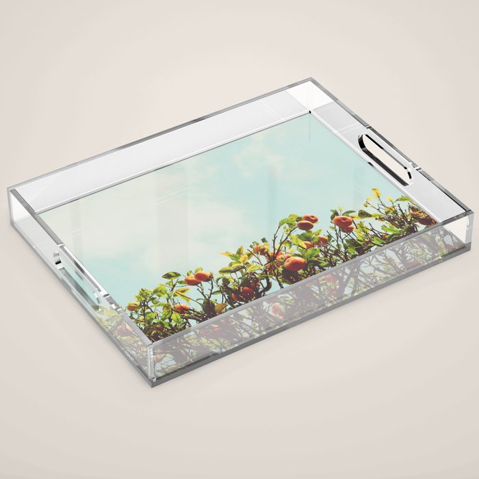 Florida Orange Grove Acrylic Tray Gallery Image 1