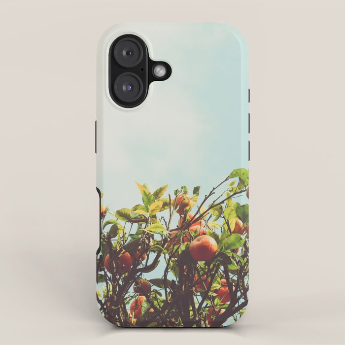 Florida Orange Grove iPhone Case Gallery Image 1
