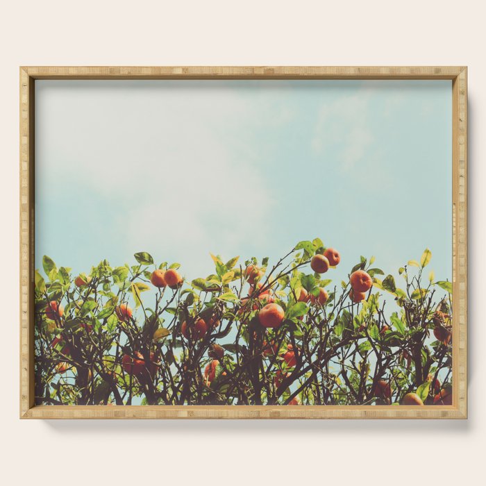 Florida Orange Grove Serving Tray Gallery Image 1