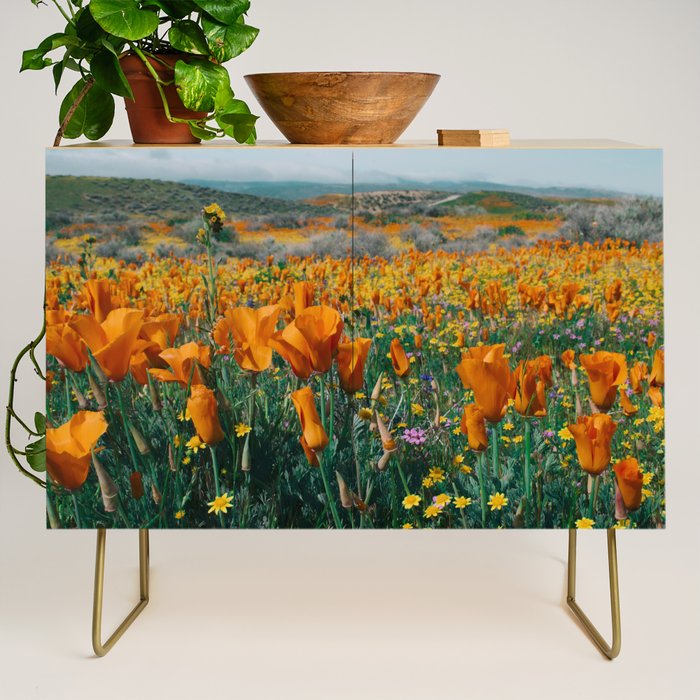 Wildflower Poppy Superbloom Credenza Gallery Image 1