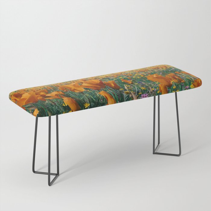 Wildflower Poppy Superbloom Bench Gallery Image 1