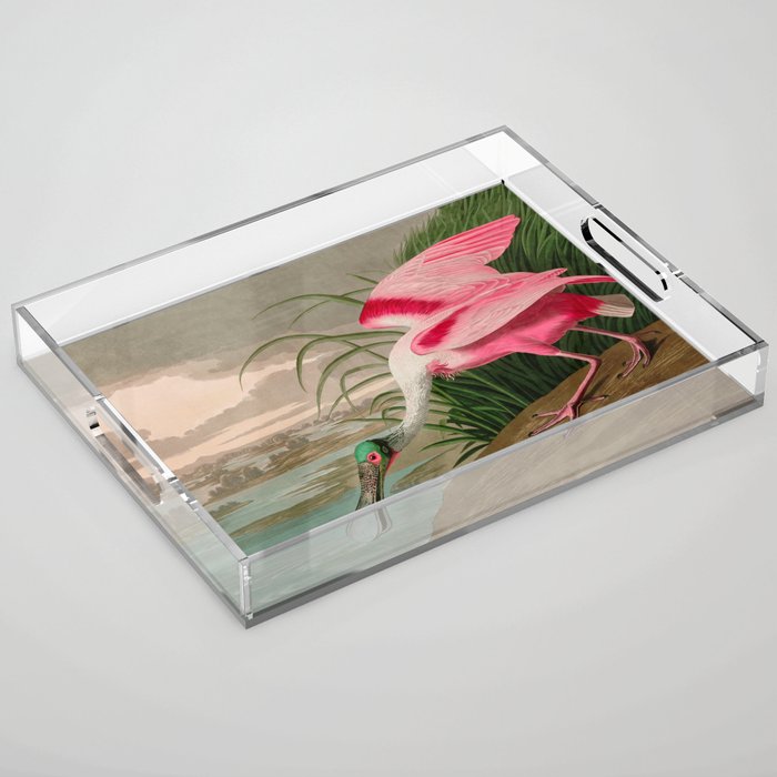 Roseate Spoonbill Birds of America Audubon Illustration Bird Lovers Gift Acrylic Tray Gallery Image 1