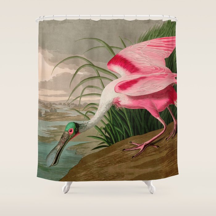 Roseate Spoonbill Birds of America Audubon Illustration Bird Lovers Gift Shower Curtain Gallery Image 1
